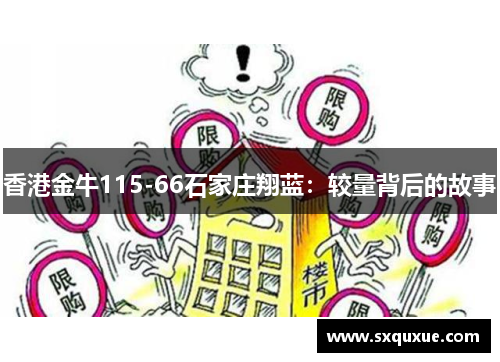 香港金牛115-66石家庄翔蓝：较量背后的故事